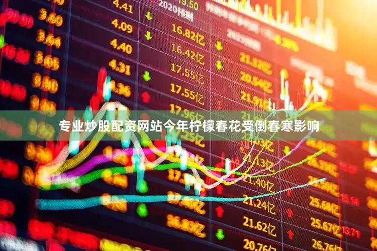 专业炒股配资网站今年柠檬春花受倒春寒影响