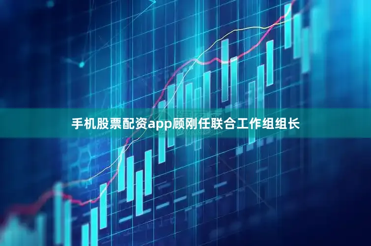 手机股票配资app顾刚任联合工作组组长