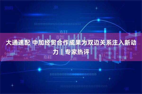 大通速配 中加经贸合作成果为双边关系注入新动力｜专家热评