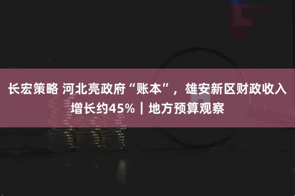 长宏策略 河北亮政府“账本”，雄安新区财政收入增长约45%｜地方预算观察