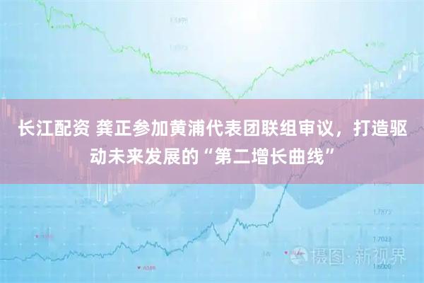 长江配资 龚正参加黄浦代表团联组审议，打造驱动未来发展的“第二增长曲线”