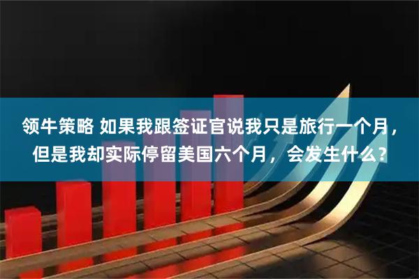 领牛策略 如果我跟签证官说我只是旅行一个月，但是我却实际停留美国六个月，会发生什么？