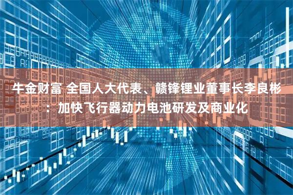 牛金财富 全国人大代表、赣锋锂业董事长李良彬：加快飞行器动力电池研发及商业化