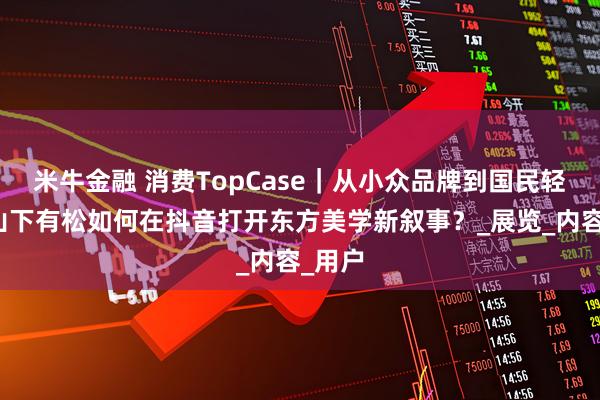 米牛金融 消费TopCase｜从小众品牌到国民轻奢：山下有松如何在抖音打开东方美学新叙事？_展览_内容_用户