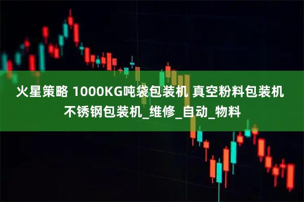 火星策略 1000KG吨袋包装机 真空粉料包装机 不锈钢包装机_维修_自动_物料