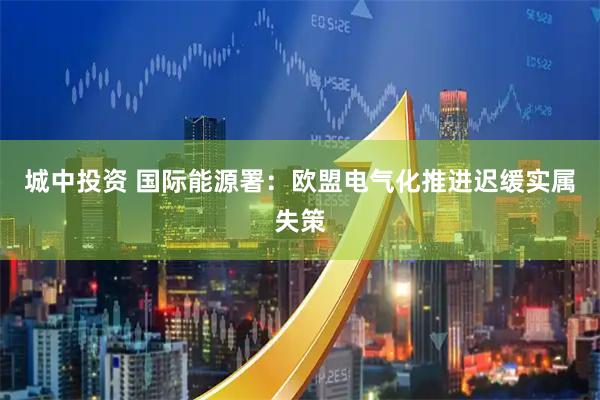 城中投资 国际能源署:欧盟电气化推进迟缓实属失策